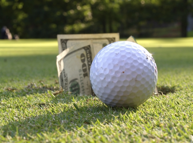 Returning Profits Back to Members